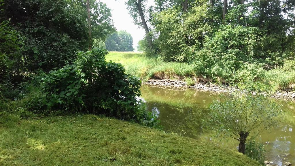 Chata Zahrada Madeta Veselí nad Lužnicí Exterior foto